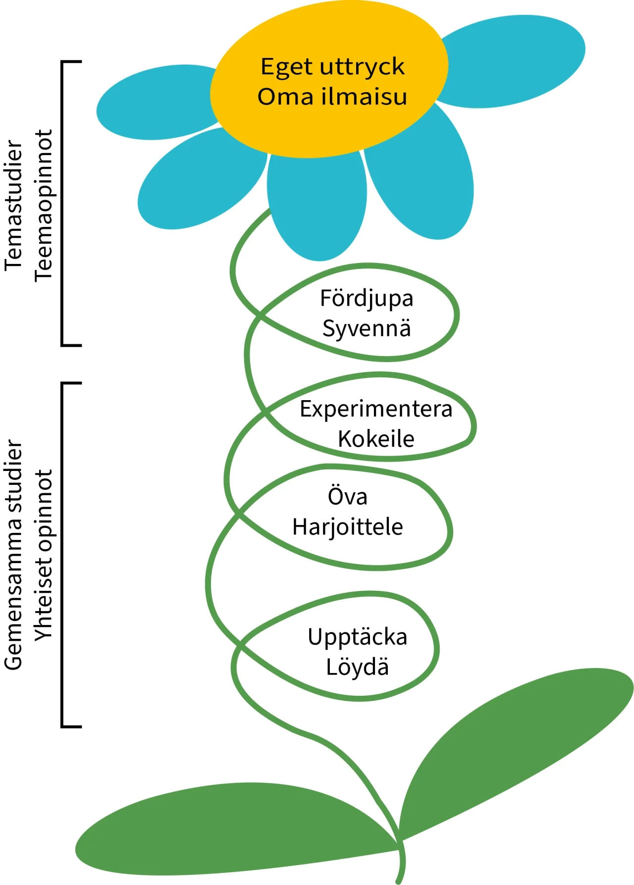 bk hv lärprocess fi sve