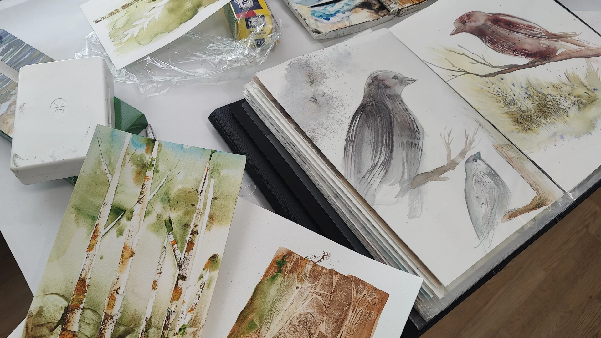 Anne Vuoreka akvarell