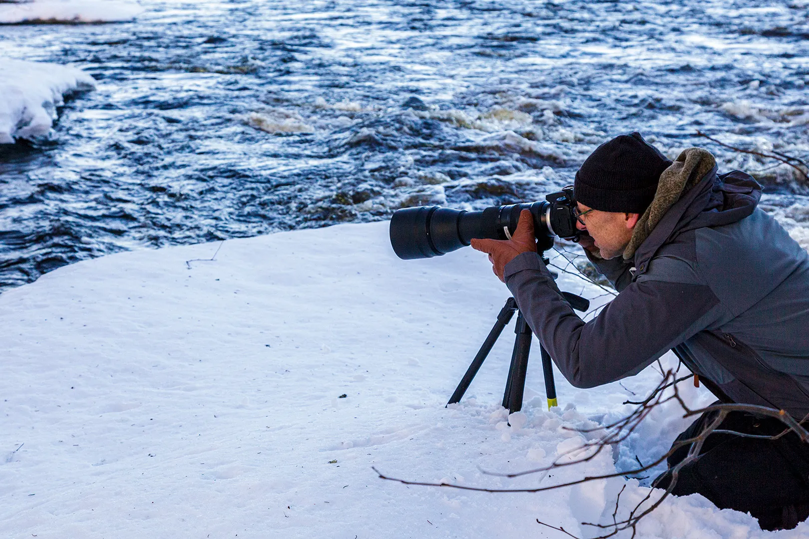 J Björk Naturfoto online