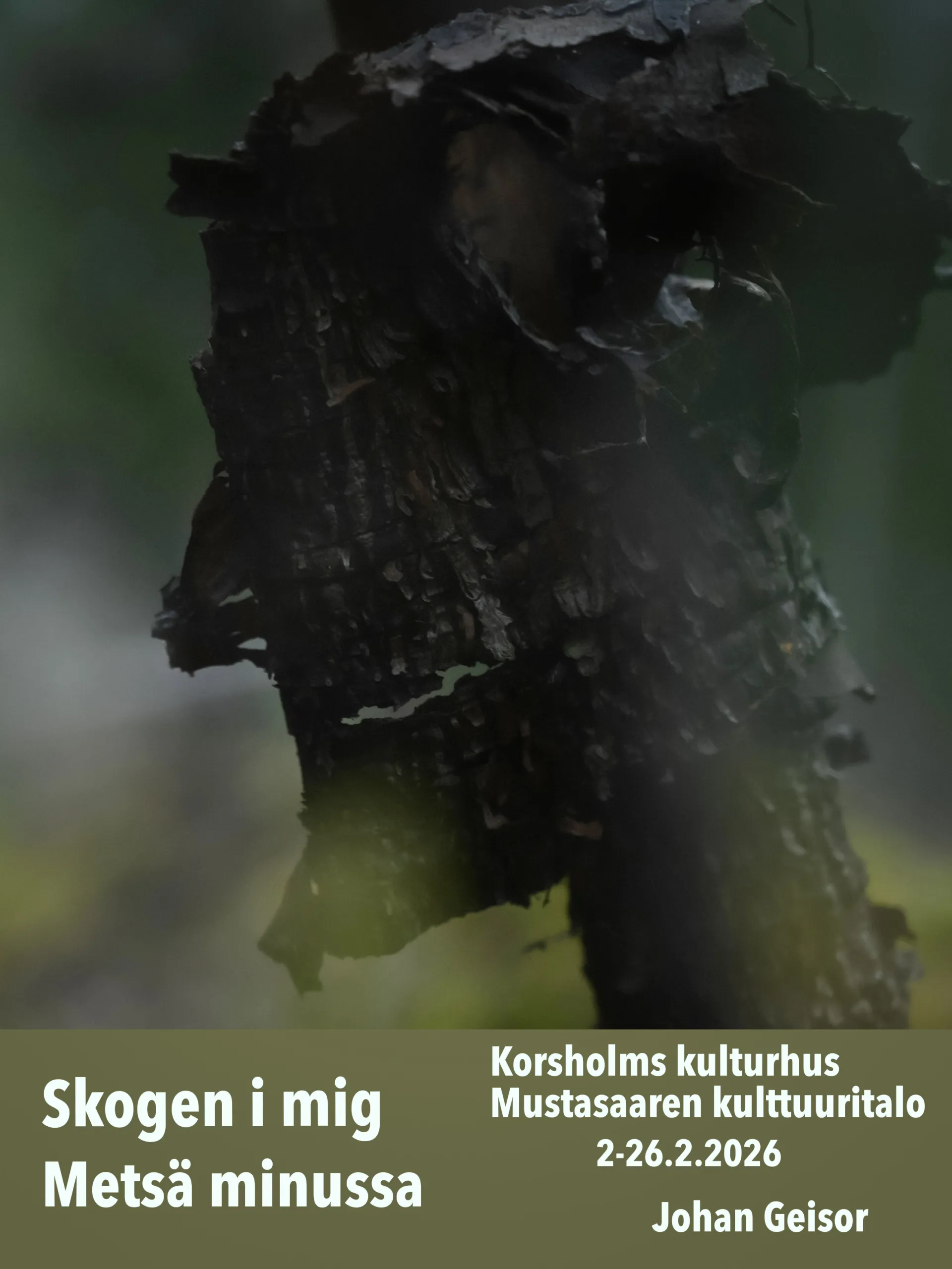 Johan Geisor Utstälningen Skogen i mig