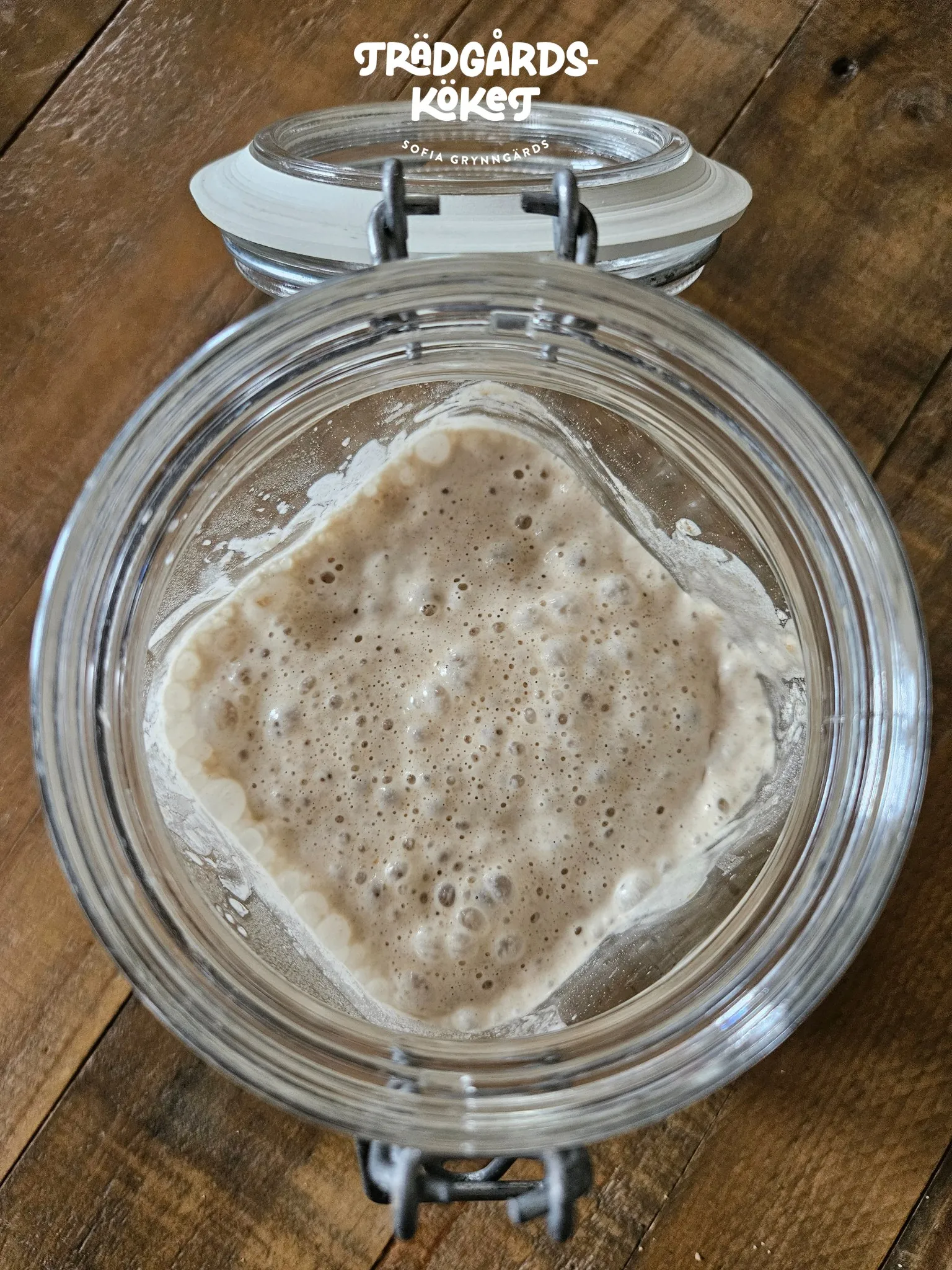 Foto: Sofia Grynngärds