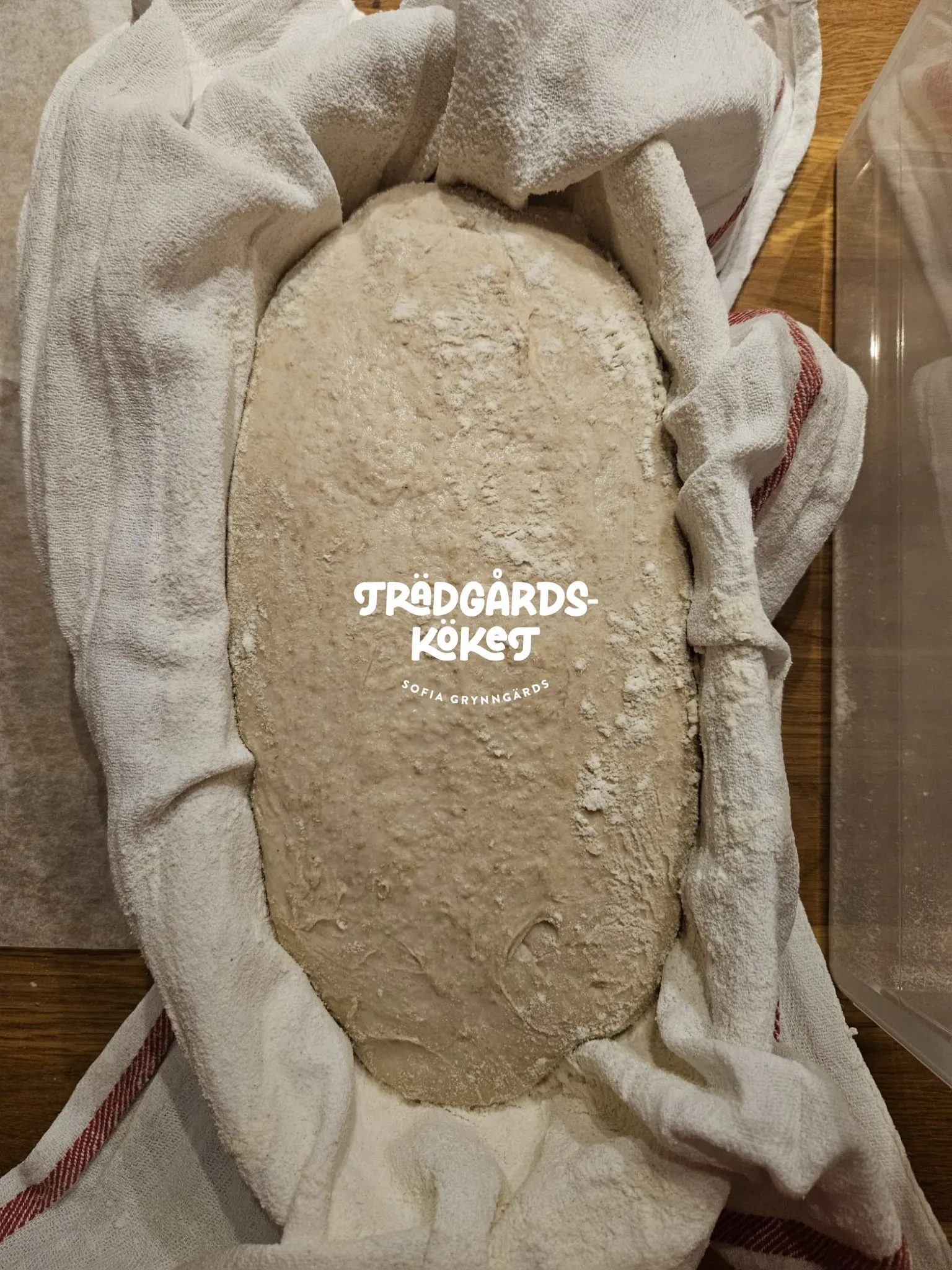 Foto: Sofia Grynngärds